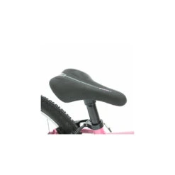 Beany Zero 16" Kinderrad Pink -Schwalbe Geschäft beany zero 16 pink c