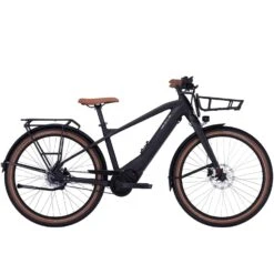 Bulls Sturmvogel EVO 5F Belt E-Bike Citybike