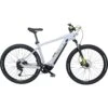 Bulls LT EVO CX E-MTB Hardtail 29"
