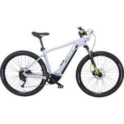 Bulls LT EVO CX E-MTB Hardtail 29"