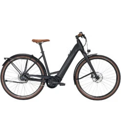 Bulls Urban Evo 5 E-Citybike