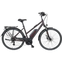 Schwalbe Geschäft 22 Triumph E-Bird Plus 8K E-Citybike