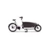 Urban Arrow Family Cargo E-Bike Lastenrad 2022